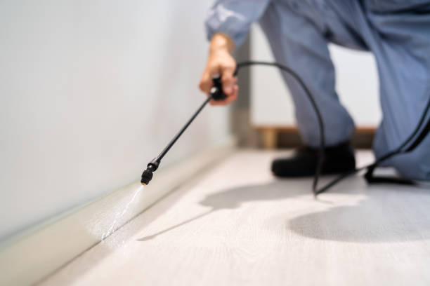 Licensed Ant Control service in Okmulgee County County, OK - Nex Pest Control